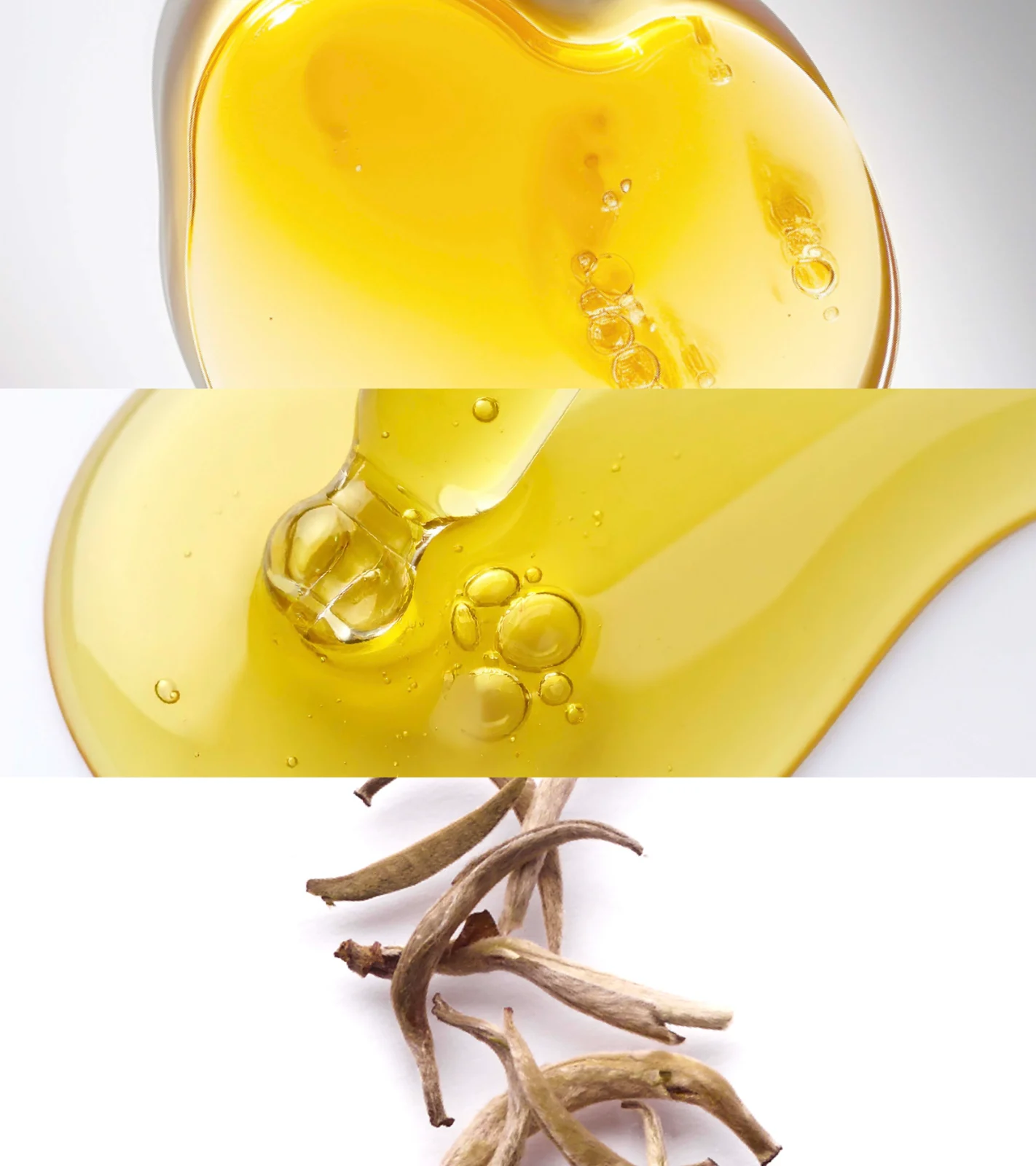 The Absolute Intense Renewal Serum