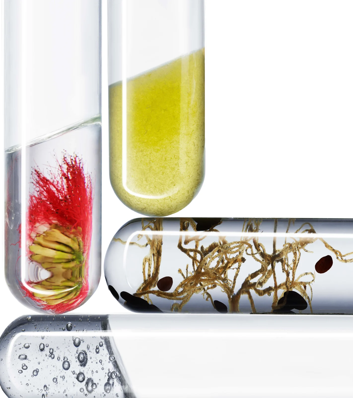 The Exceptional Eye Lift